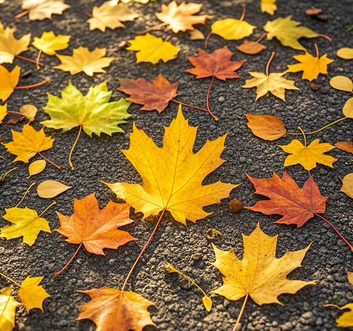 沈陽攝影學(xué)校