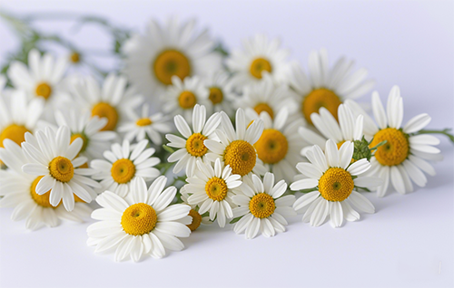 沈陽美容學(xué)校