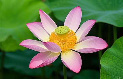 學習攝影要知道哪些問題？沈陽攝影學校