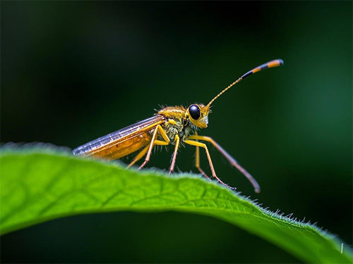 沈陽(yáng)攝影學(xué)校