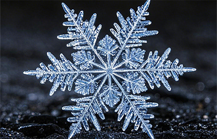 沈陽(yáng)攝影學(xué)校_不起眼卻能拍大片的攝影方法