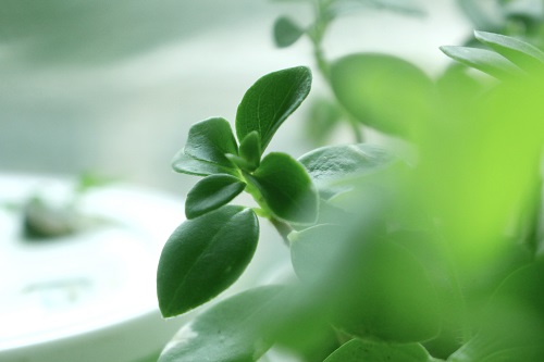 沈陽(yáng)攝影學(xué)校