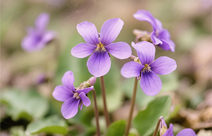 攝影入門基礎(chǔ)知識你知道嗎？沈陽攝影學校